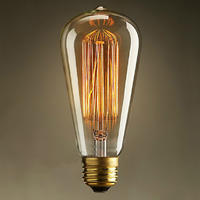 Tungsten filament lamp st64 NR glass 60W warm yellow